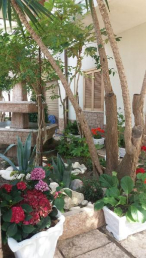 Hotels in Altino